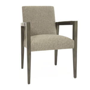 Villain Dining Arm Chair - Image 2