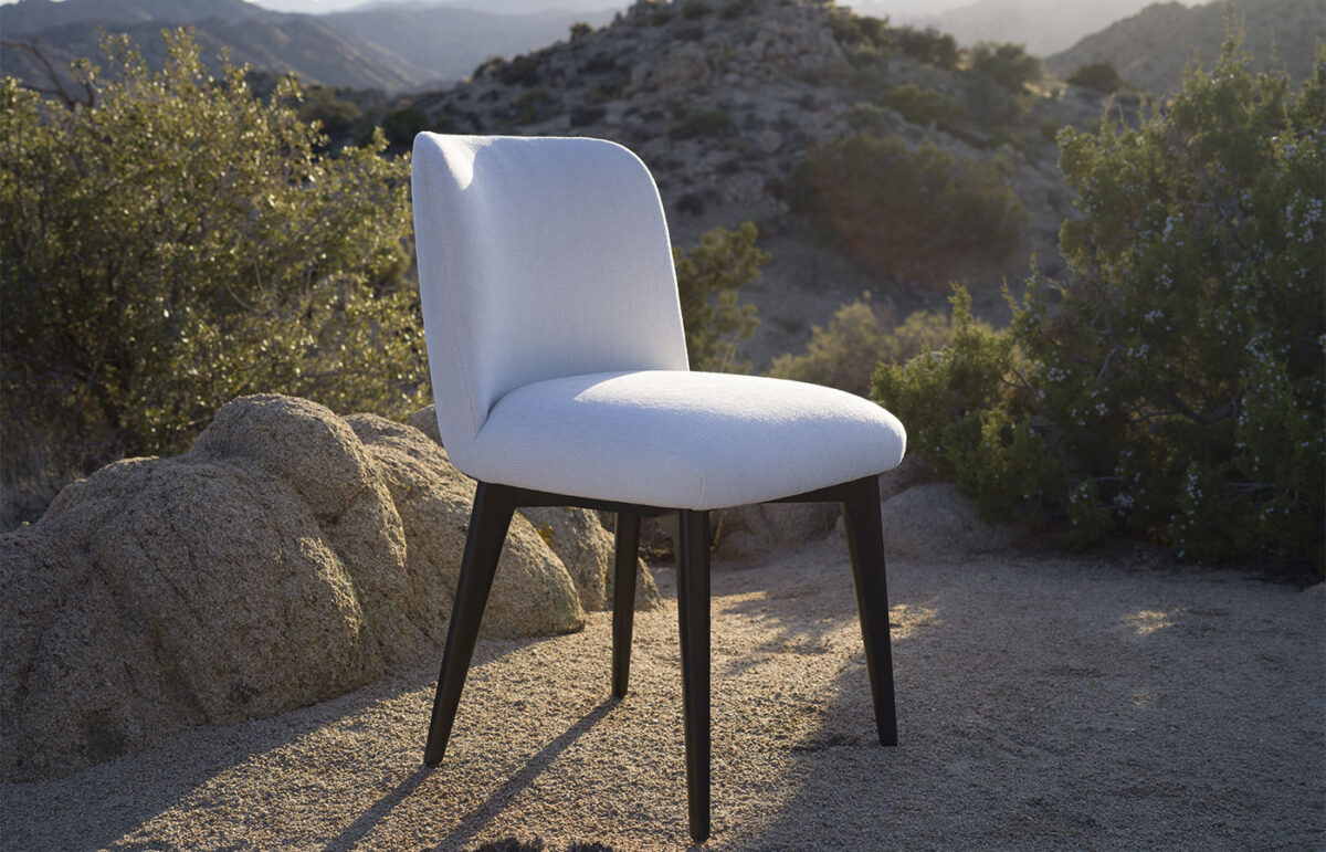Tang Dining Side Chair - Image 10