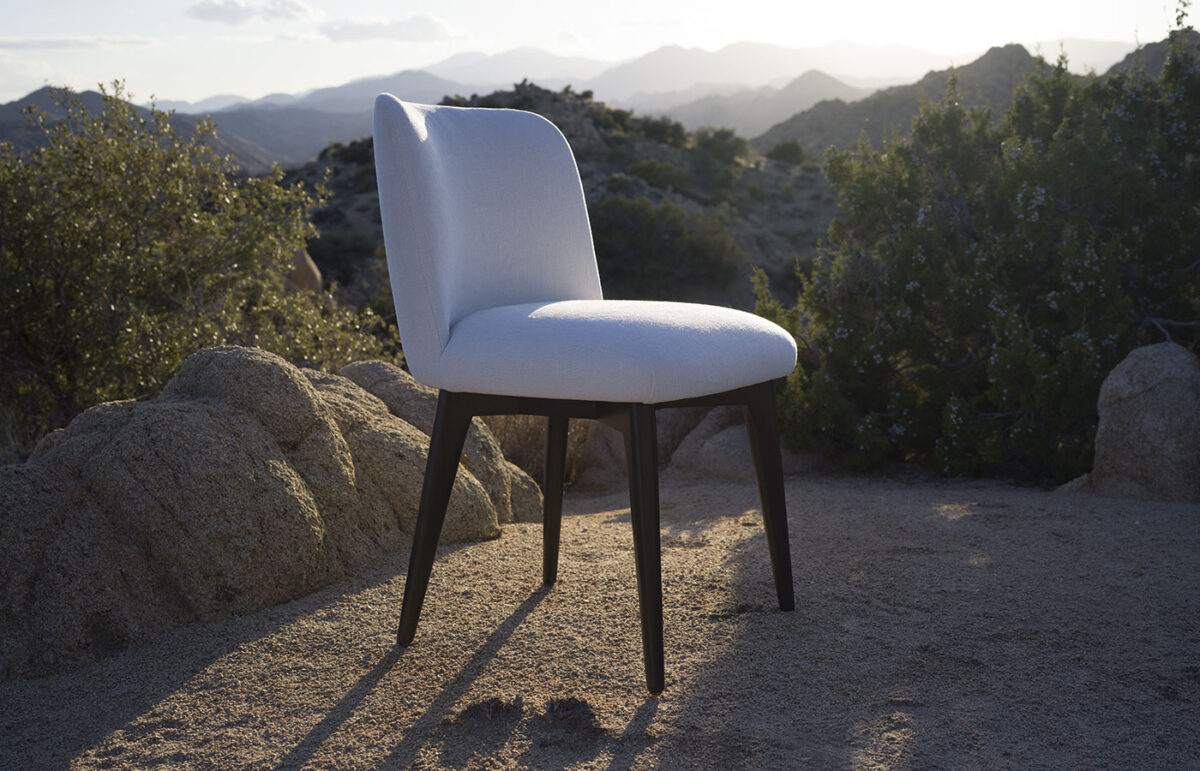 Tang Dining Side Chair - Image 11