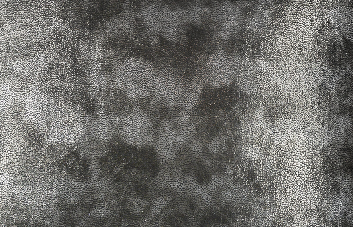 Colubrid Coal  Square Pillow - Image 2